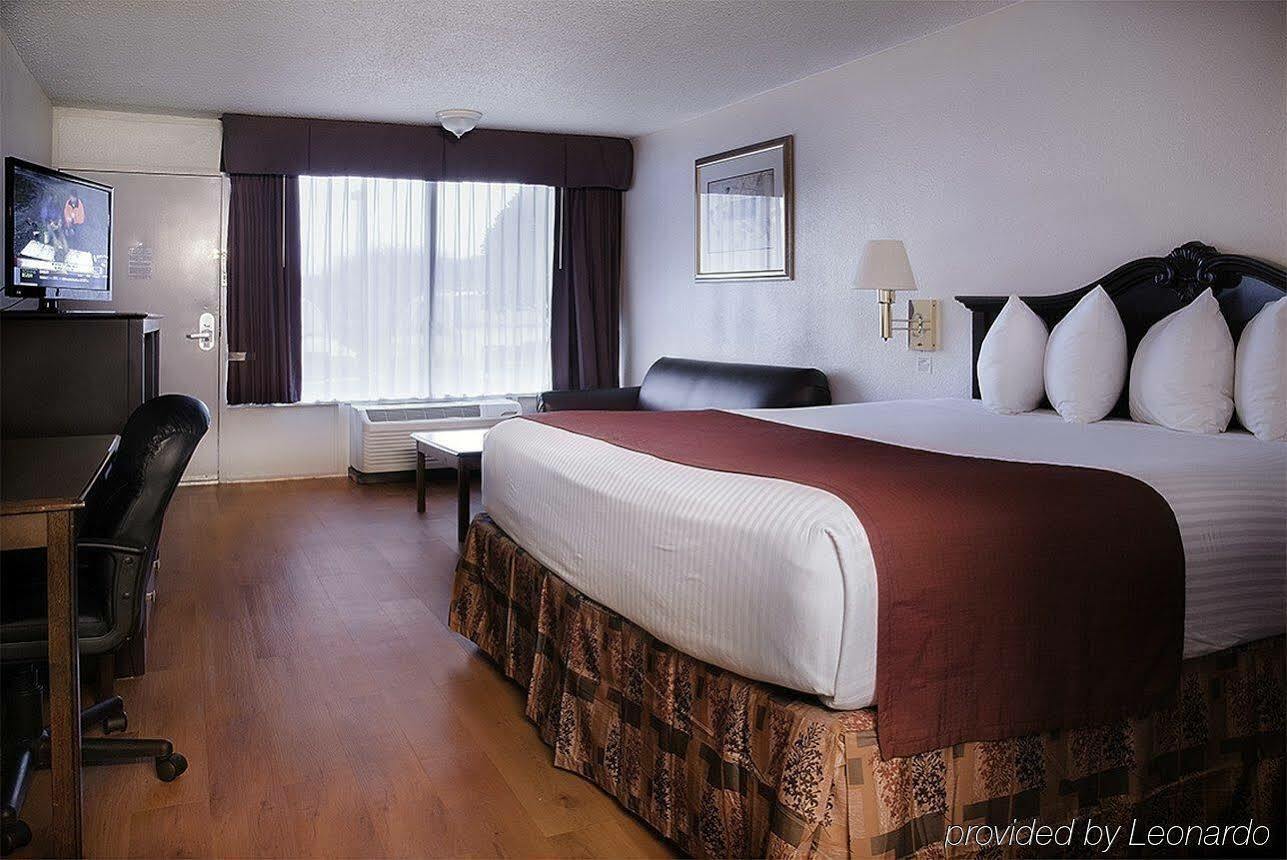 Best Western Greenville Airport Habitación foto